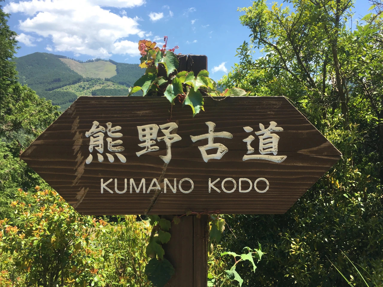 日本 ｜熊野古道中边路徒步8日行程 