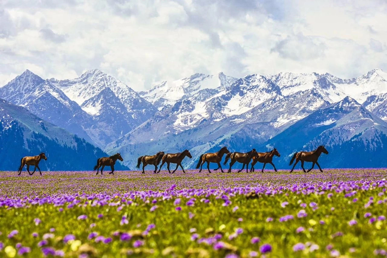 IMG_2528.JPG