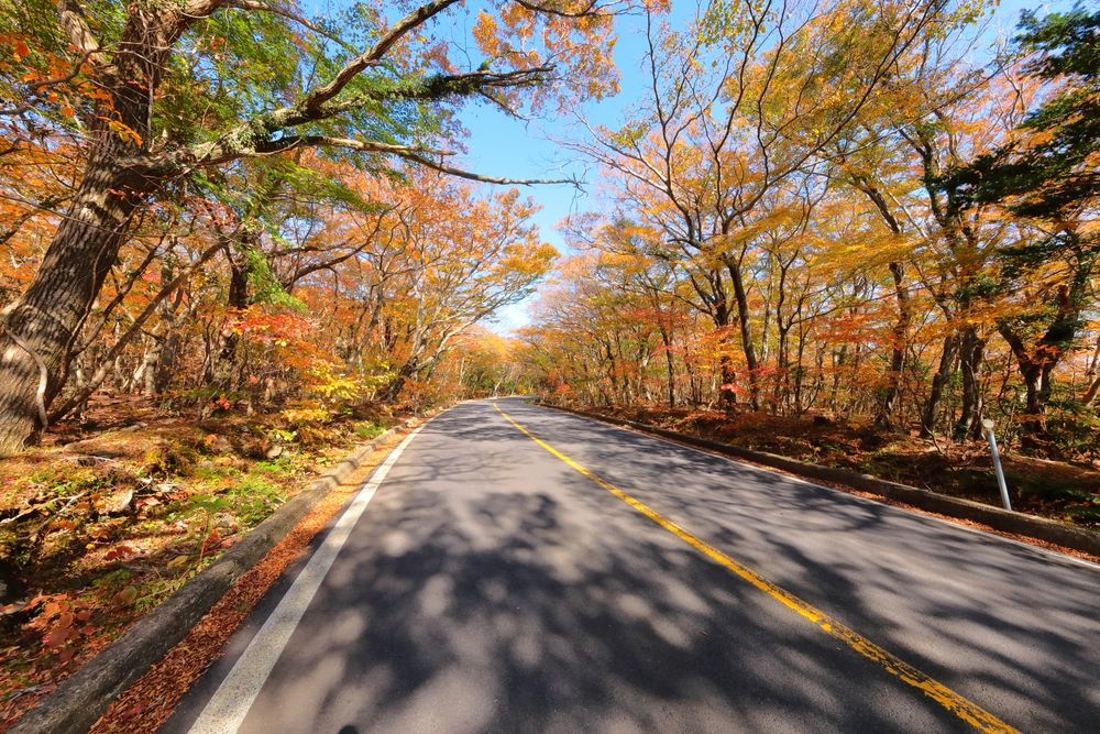 shutterstock_2051484467.jpg